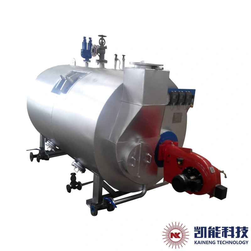 Factort Supply Wns 1 Ton 2 Ton 4 Ton Gas Fired Steam Boiler